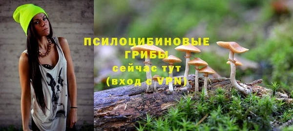 экстази Кукмор