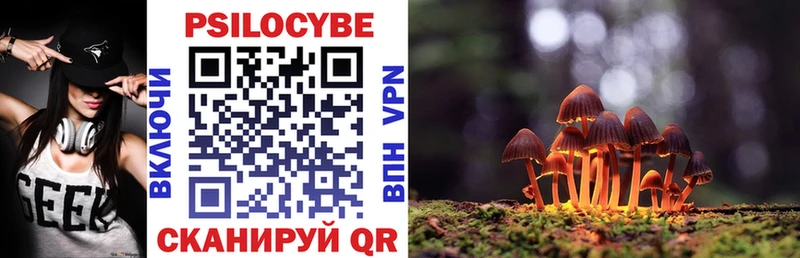 Купить где  Аргун  Галлюциногенные грибы мухоморы 