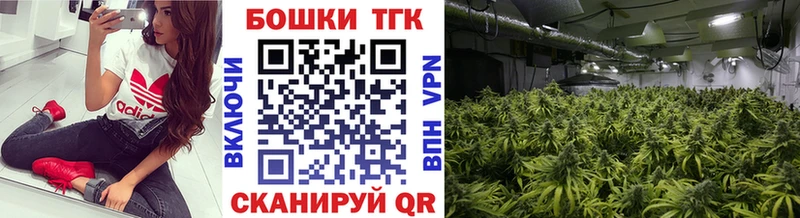 Купить  Аргун  Конопля LSD WEED 